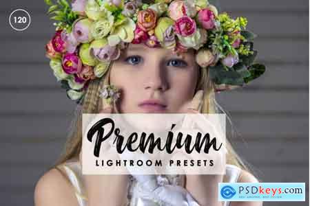 Thehungryjpeg Premium Lightroom Presets