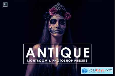 Thehungryjpeg Antique Lightroom & Photoshop Presets