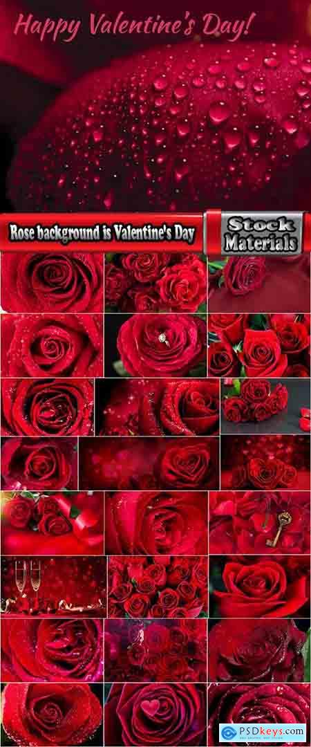 Rose background is Valentine's Day gift petal red flower 25 HQ Jpeg