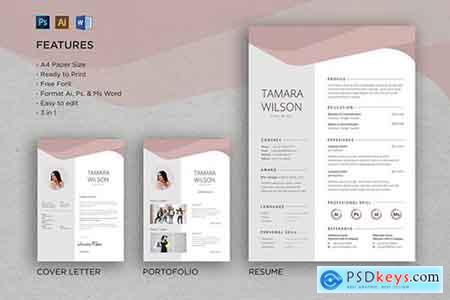 Professional CV And Resume Template Tamara