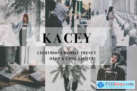 Creativemarket Mobile Lightroom Preset