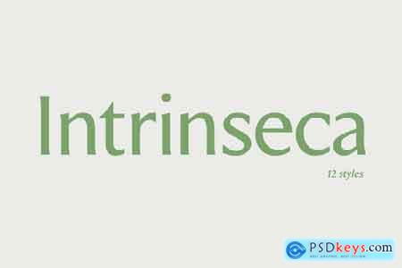 Intrinseca Font Family