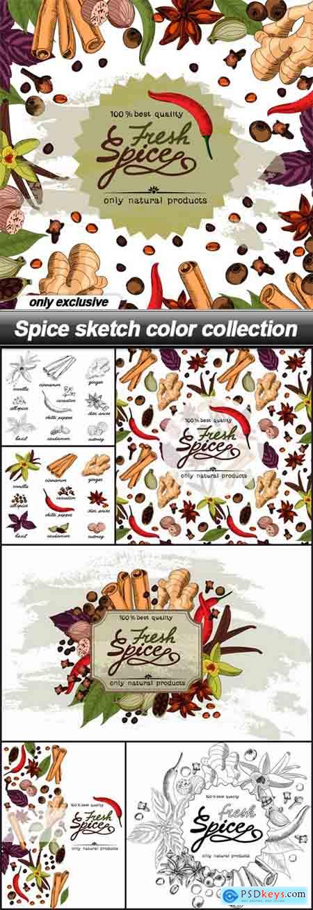 Spice sketch color collection - 7 EPS