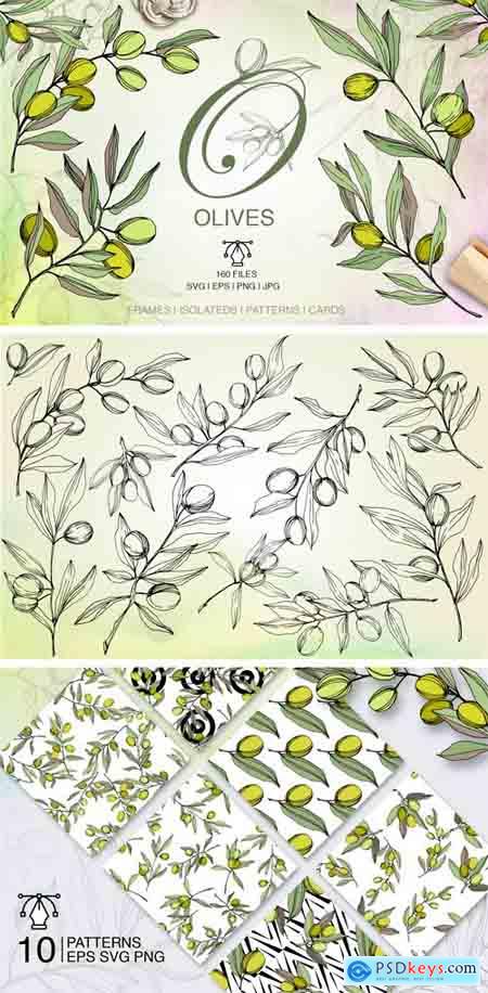 Fontbundles - Olives Vector EPS Watercolor Set 155505
