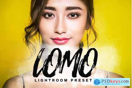 Thehungryjpeg Lomo Lightroom Presets
