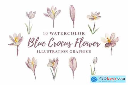 10 Watercolor Blue Crocus Flowers Illustration