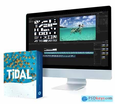 Rocketstock Tidal - 100 Fun Video Transitions Free