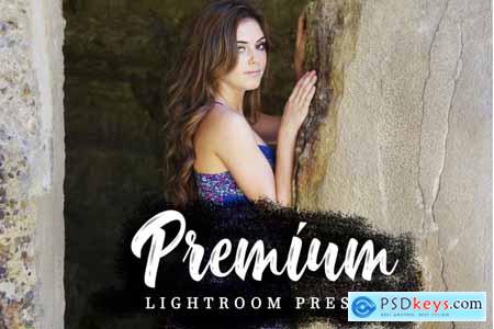 Thehungryjpeg Premium Lightroom Presets