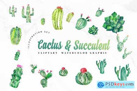 15 Watercolor Cactus Set Illustration