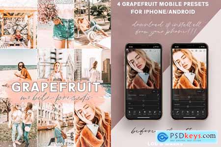 Creativemarket Grapefruit Blogger Mobile Presets