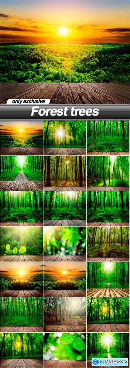 Forest trees - 21 UHQ JPEG