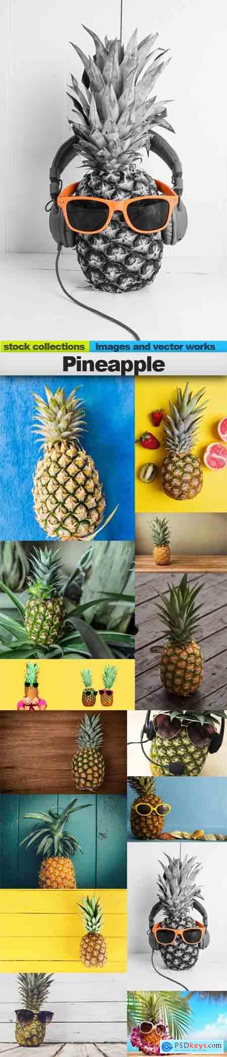 Pineapple, 15 x UHQ JPEG