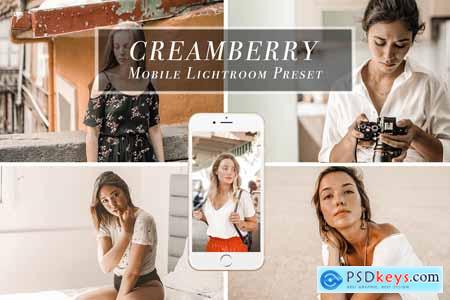 Creativemarket Creamy mobile Lightroom Preset