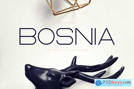 Bosnia - Sans Serif font 2 styles