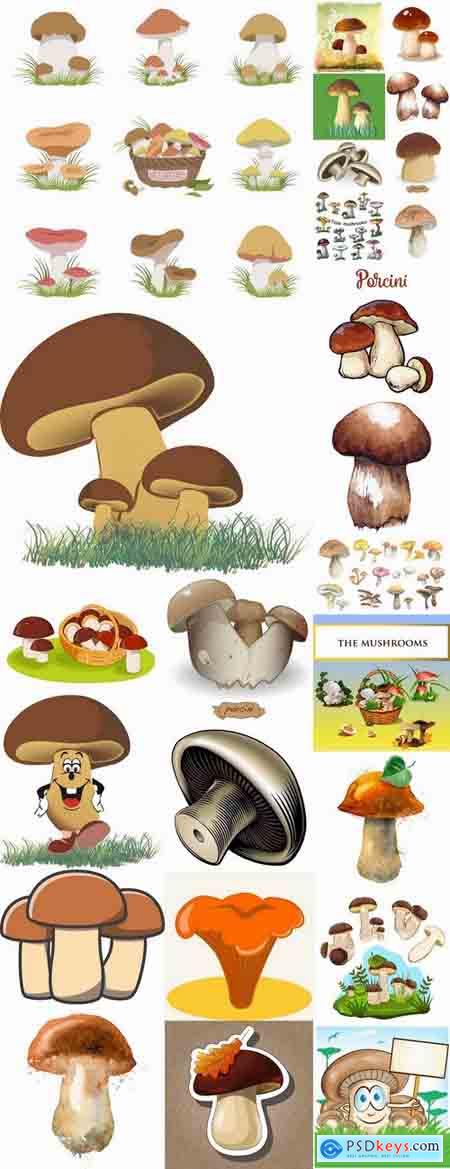 Mushrooms icon vector image 25 EPS
