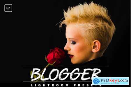 Blogger Lightroom Presests