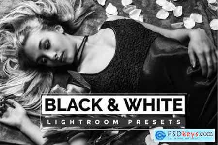 Black and White Lightroom Presets