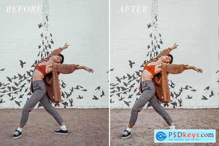 Lightroom Desktop Preset BRIGHT