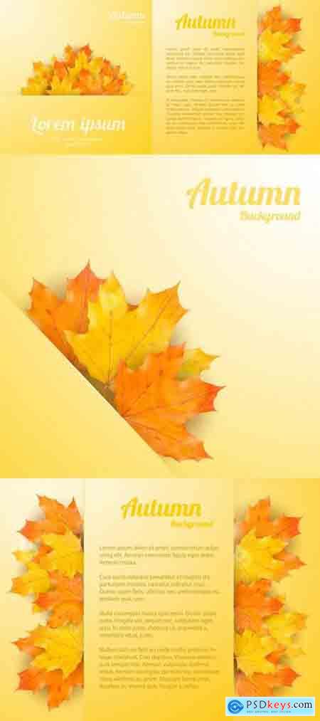 Autumn Background with Realistic Maple Leaves
