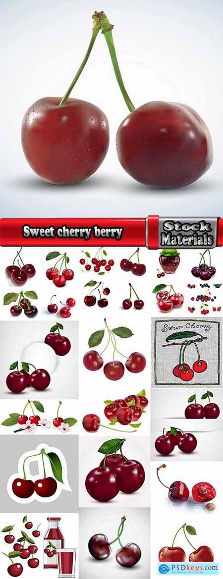 Sweet cherry berry vector image 25 EPS