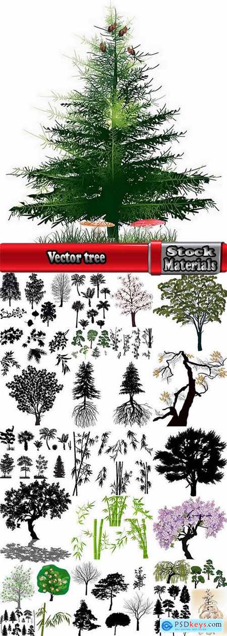 Vector image tree roots silhouette egg bamboo 25 eps