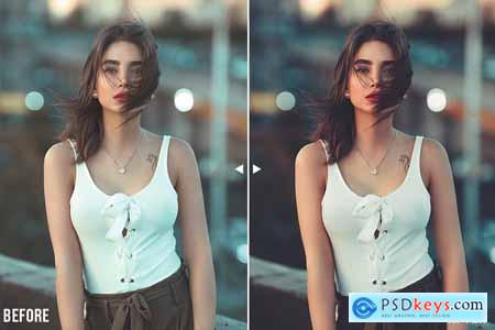 Creativemarket Moody Lightroom Presets And Mobile
