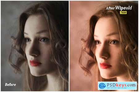 Creativemarket Wipeold Lightroom and ACR Presets