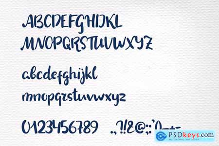 Creativemarket Pinkment Handwritten Font + Extras