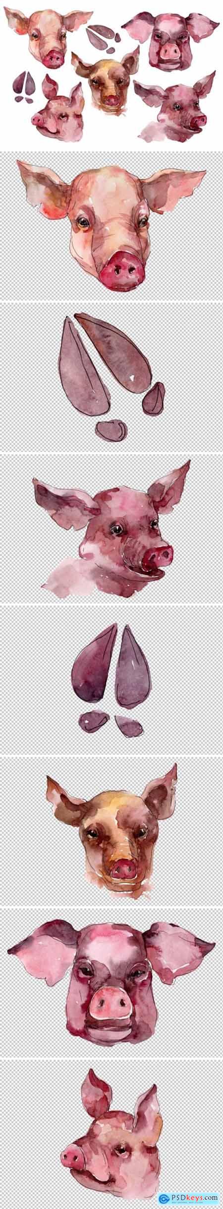 Farm animals pig head Watercolor png