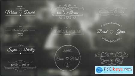 Videohive Wedding Labels Free