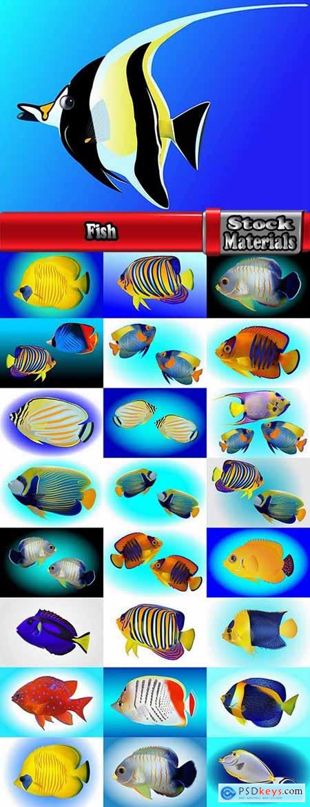 Fish sea animal multicolored skin leather fin 25 EPS