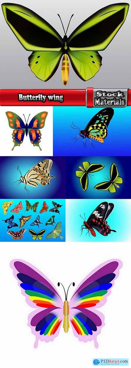 Butterfly wing 8 EPS