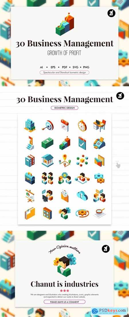 30 Business management isometric elements