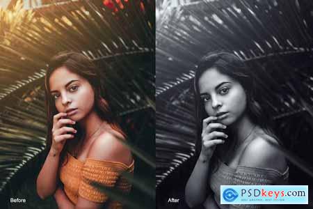 Black & White Photoshop Actions