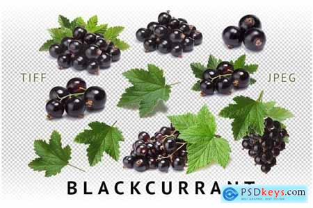 Blackcurrant, PRO release