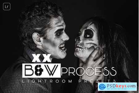 B and W Process Lightroom Presets