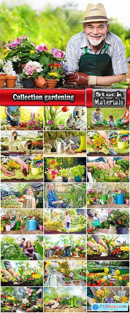 Collection gardening garden plants garden agriculture spring planting in the ground 25 HQ Jpeg