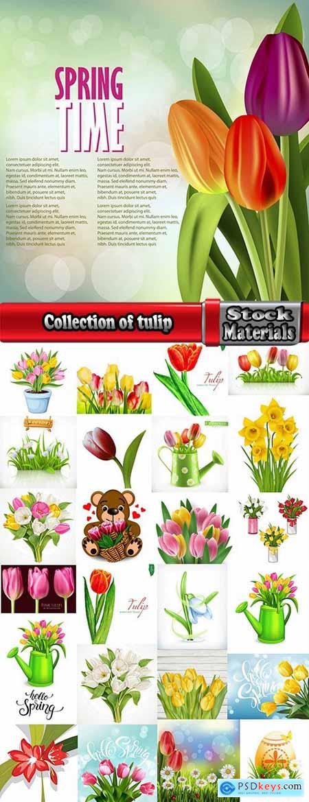 Collection of tulip snowdrop flower basket Spring warmth flyer banner card cover 25 EPS