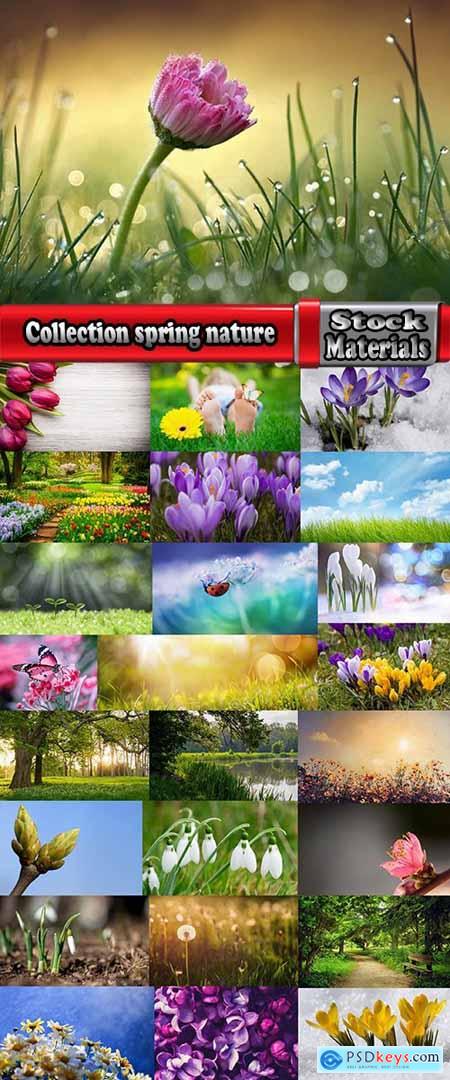 Collection spring nature forest grass sprout sprout tulip flower snowdrop 25 HQ Jpeg
