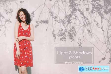 40 Plant Shadows Overlays