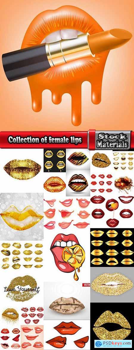 Collection of female lips illustration icon for printing things vector picture 25 EPS