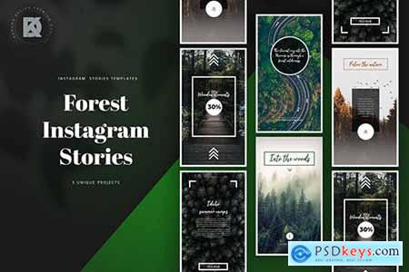 Forest Instagram Stories