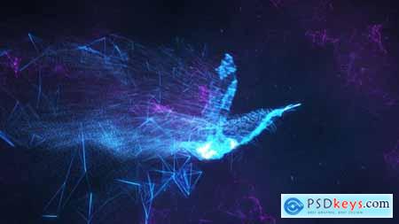 Videohive Serenity  Abstract Bird Reveal Free