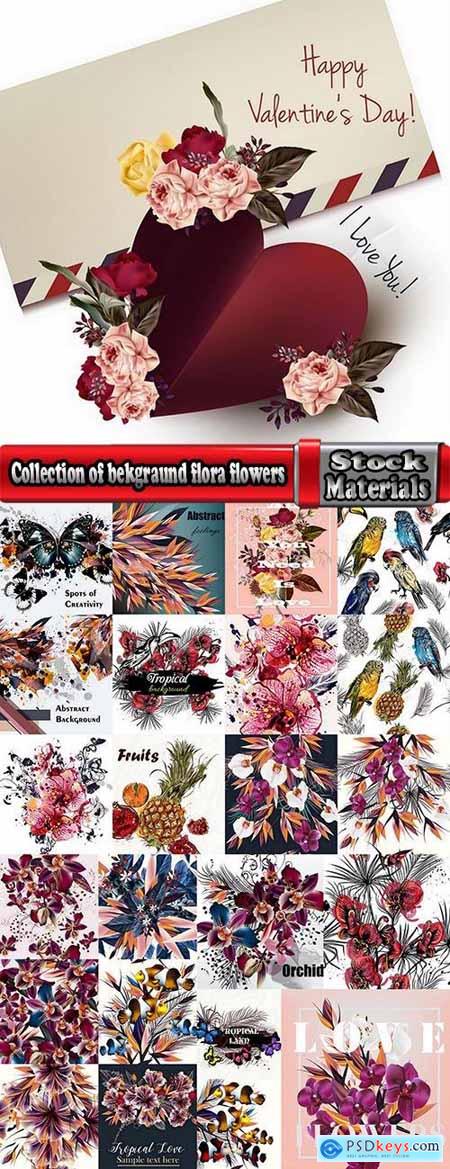 Collection of bekgraund flora flowers parrot fish greeting card gift card the cover 25 EPS