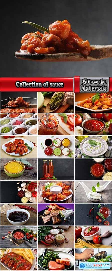 Collection of sauce dish with ketchup and condiment spices meat 25 HQ Jpeg
