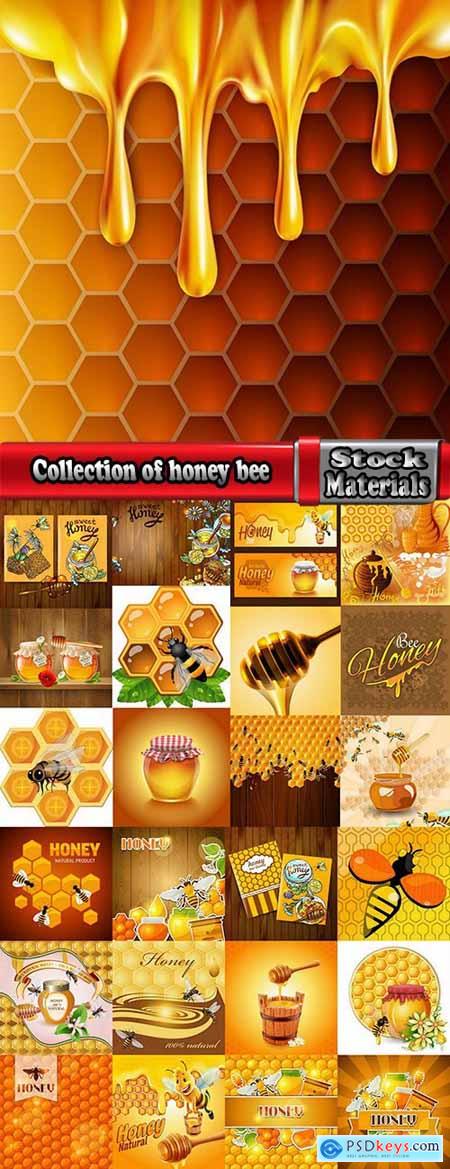 Collection of honey bee hive honeycomb 25 EPS