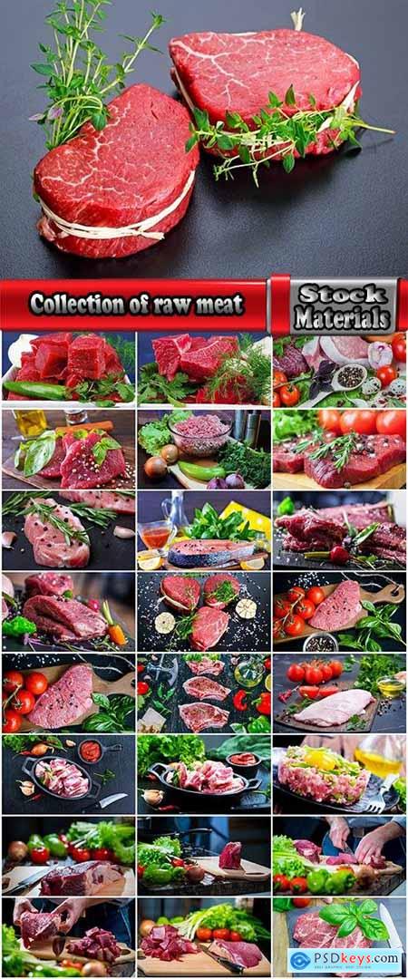 Collection of tuna raw fish catch production of red meat 2-25 HQ Jpeg