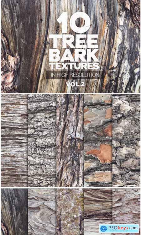 Tree Bark Textures X10 Vol2 1441125