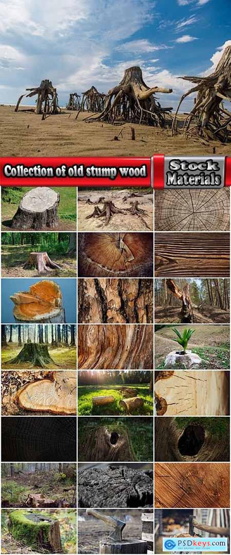 Collection of old stump wood bark pattern background is a piece of wood ax 25 HQ Jpeg