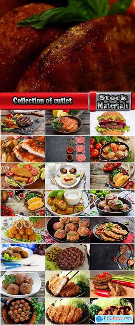 Collection of cutlet grilled meat chops in breadcrumbs 25 HQ Jpeg